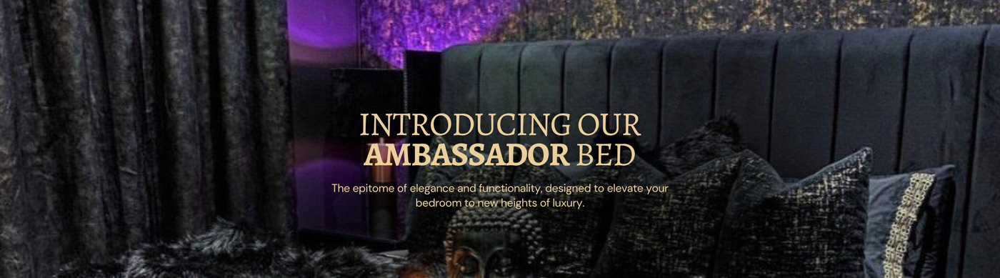 Ambassador Bed Intro
